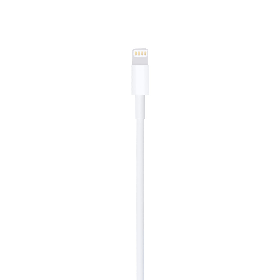 Apple USB-C to Lightning Cable - 1 Meter