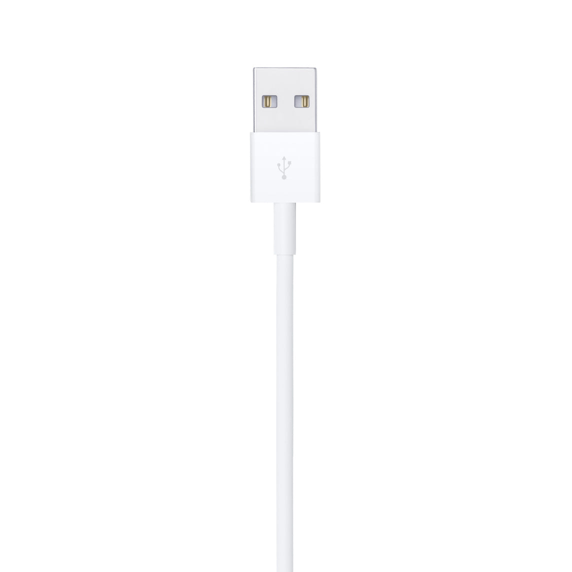Apple USB-C to Lightning Cable - 1 Meter